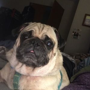 Meet your Posher, Jenny